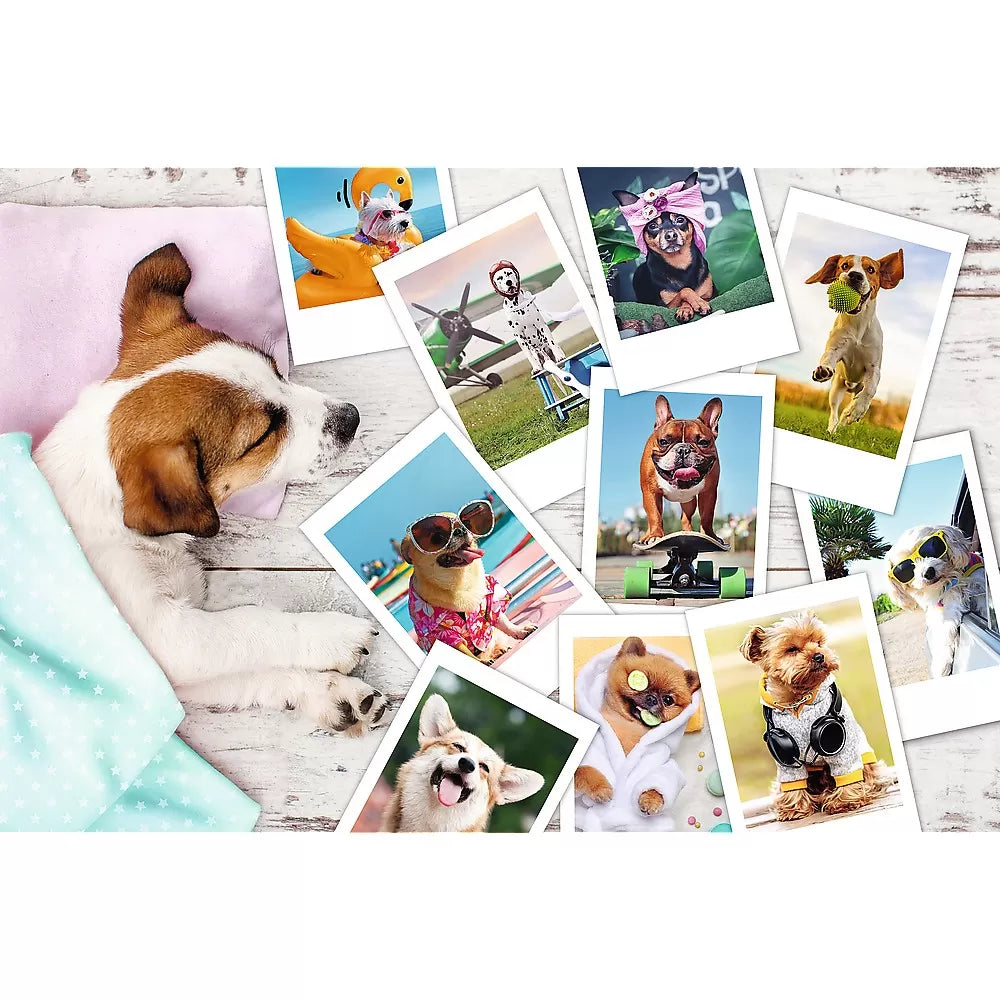 Puzzle trefl 300 poze din vacanta