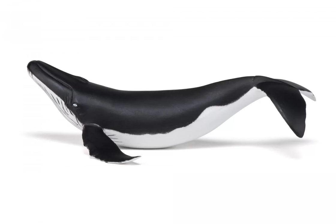 Papo figurina pui de balena