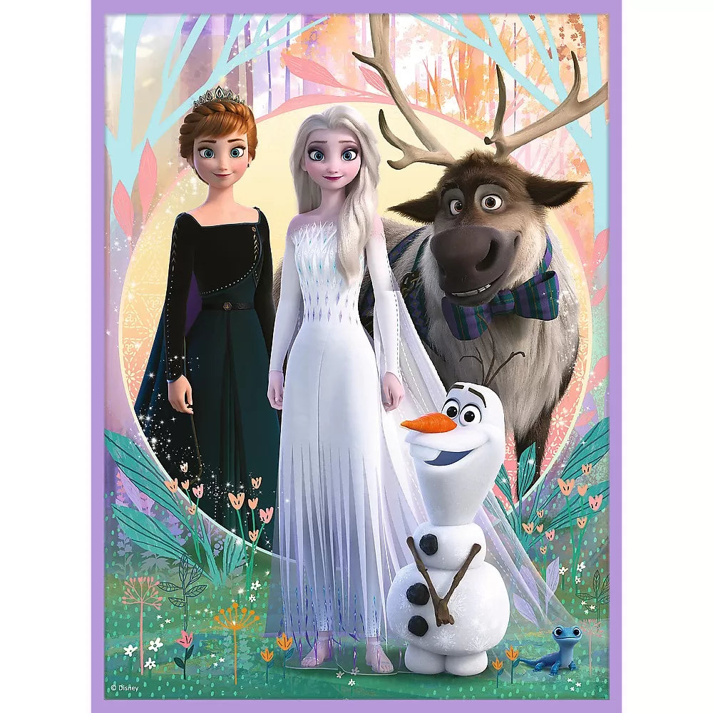 Puzzle trefl 2in1 memo disney frozen printesele si taramul lor