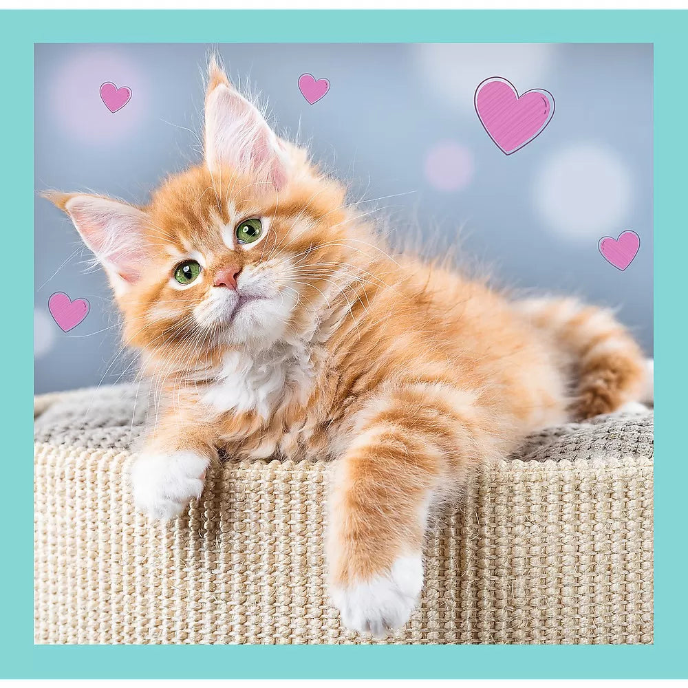 Puzzle trefl 3in1 pisicutele dragalase