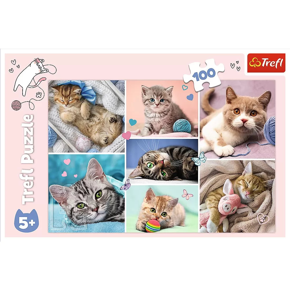 Puzzle trefl 100 in lumea pisicilor