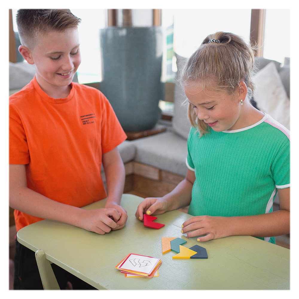 Pointy Puzzle, puzzle logic din lemn