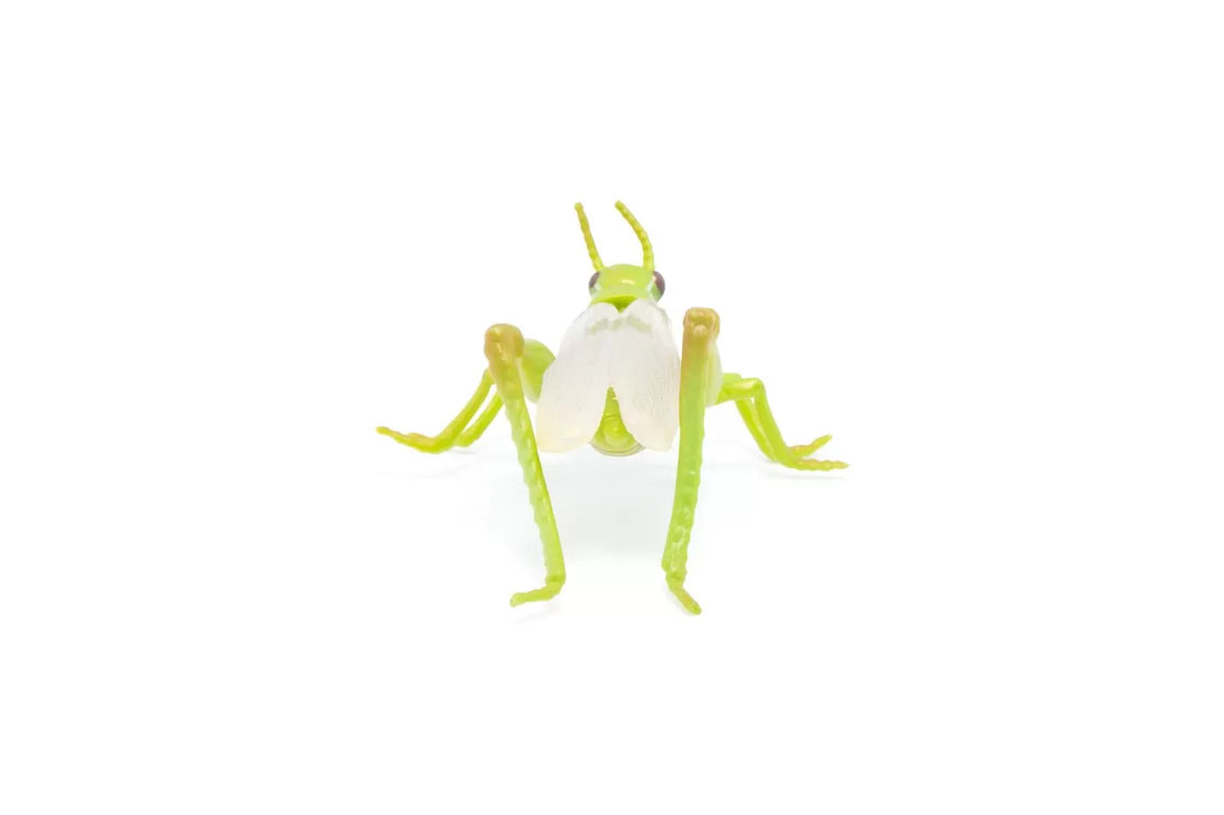 Papo figurina lacusta