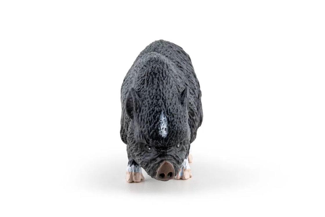 Papo figurina porc vietnamez