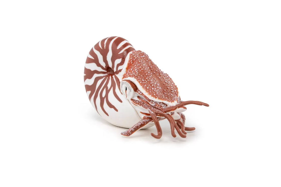 Papo figurina nautilus