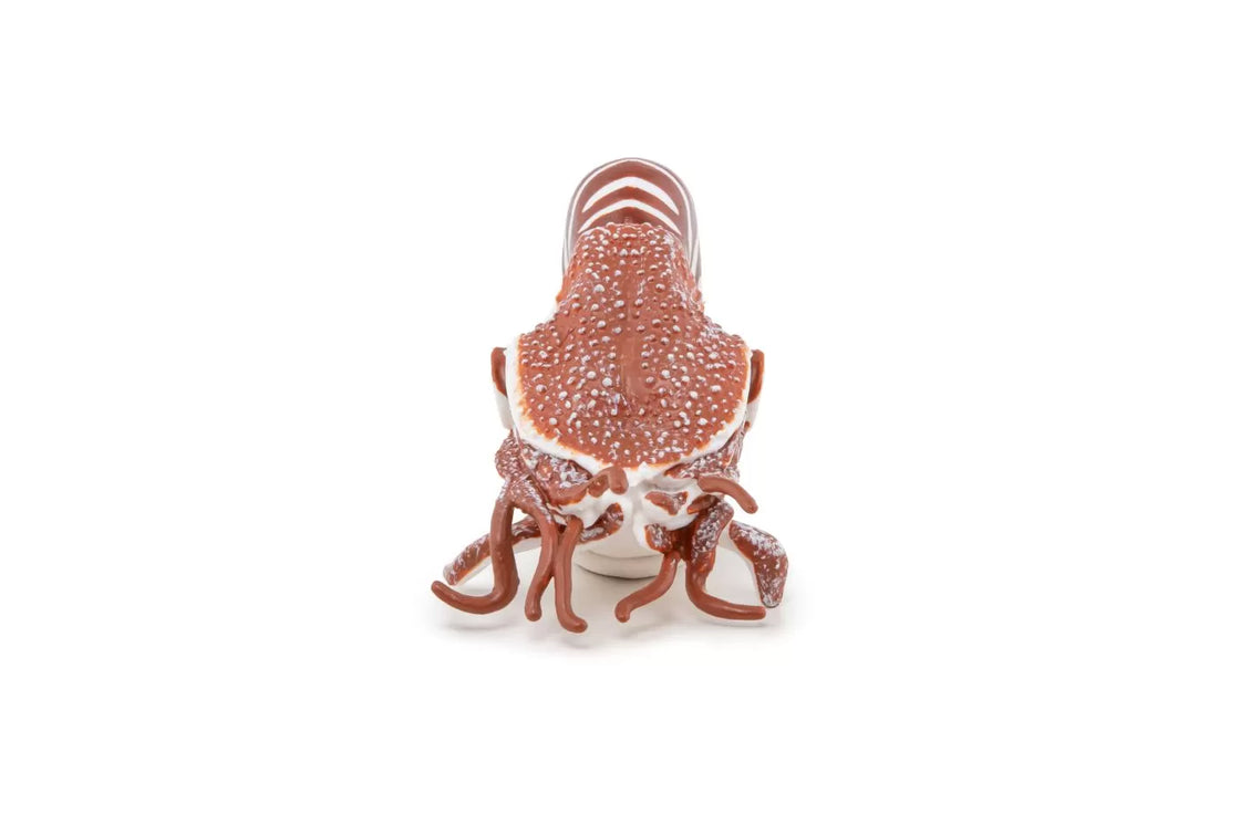 Papo figurina nautilus