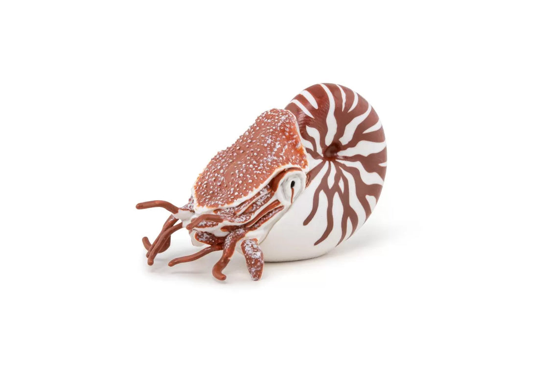 Papo figurina nautilus