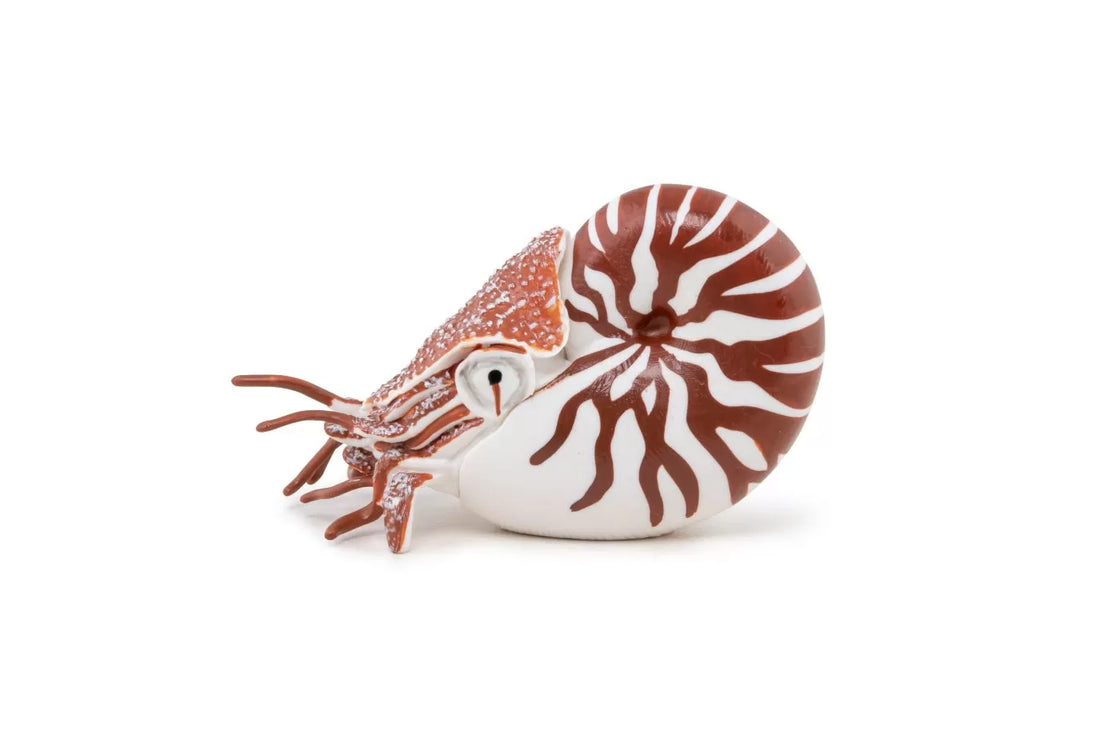 Papo figurina nautilus