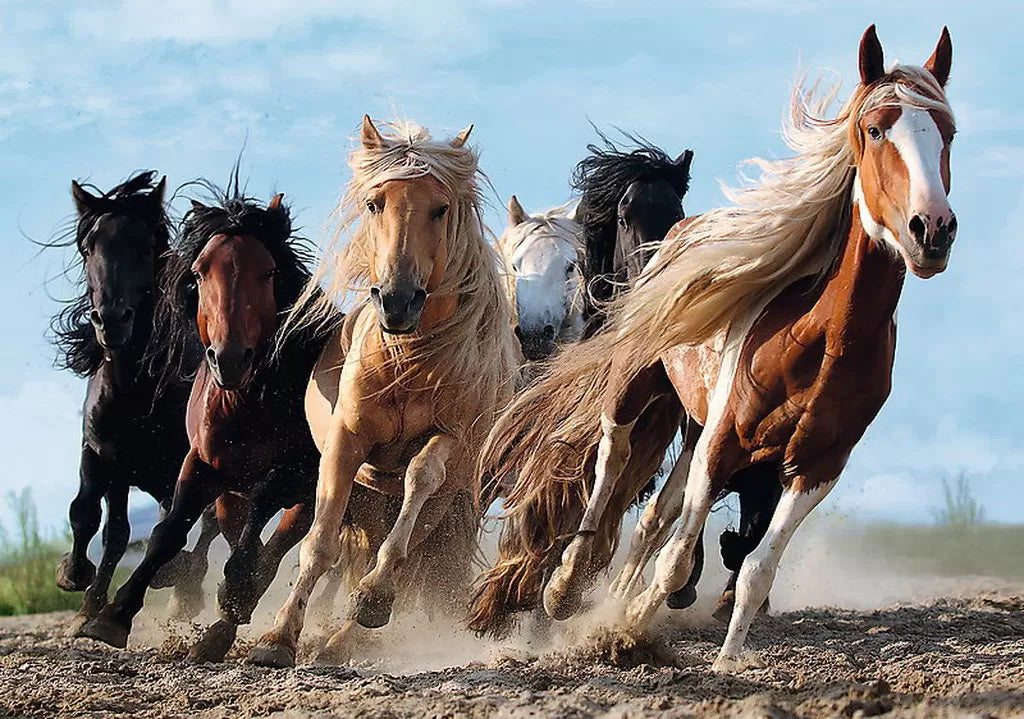Puzzle trefl 1000 cai la galop