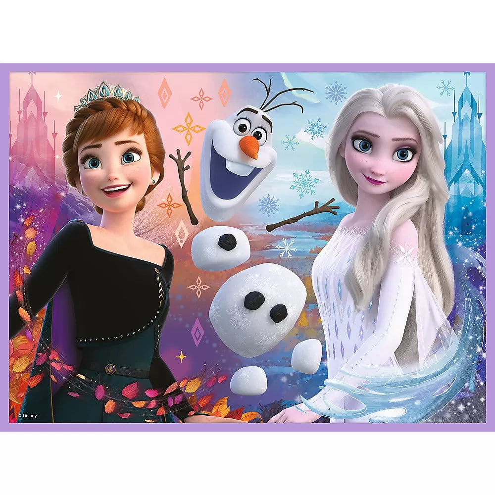 Puzzle trefl 2in1 memo disney frozen printesele si taramul lor