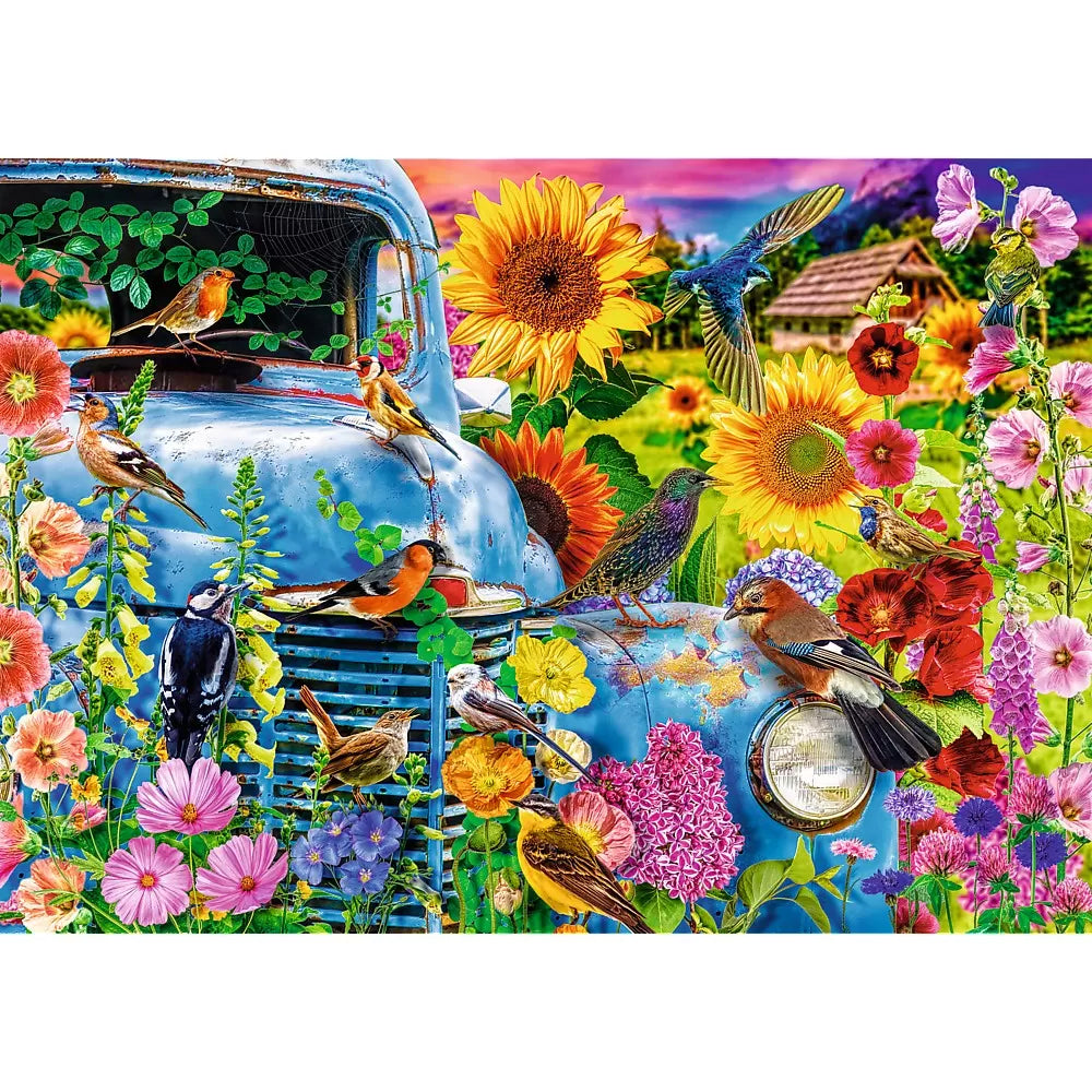 Puzzle trefl 1000 premium plus tea time viata la tara pasari cantatoare