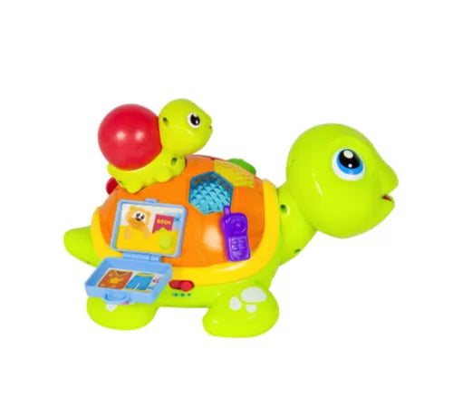 Set broscute testoase interactive lumini si sunete