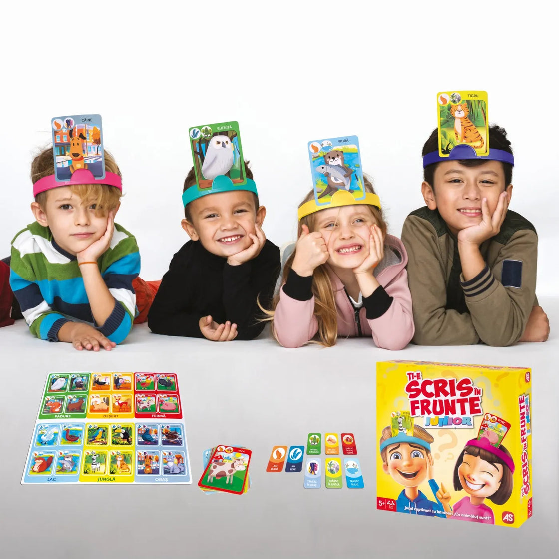 Joc de societate ti-e scris in frunte junior