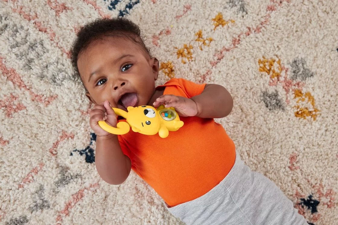 Fisher price jucarie zornaitoare leopard