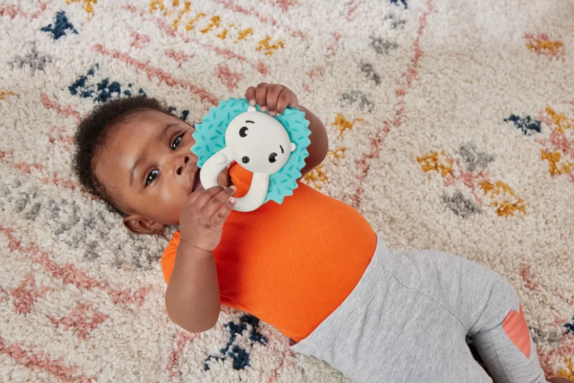 Fisher price jucarie zornaitoare arici