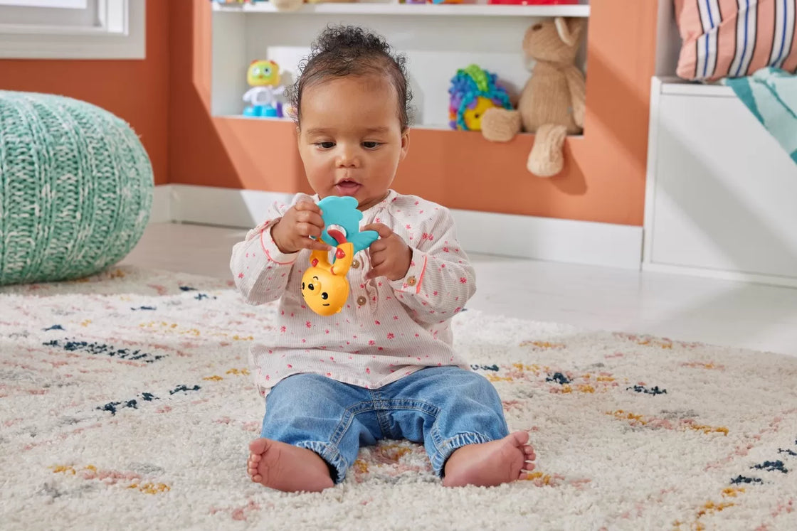 Fisher price jucarie zornaitoare vidra