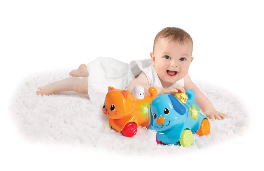 Winfun catelus interactiv