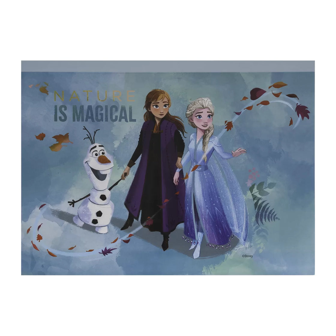 Set desen gentuta de creatie frozen