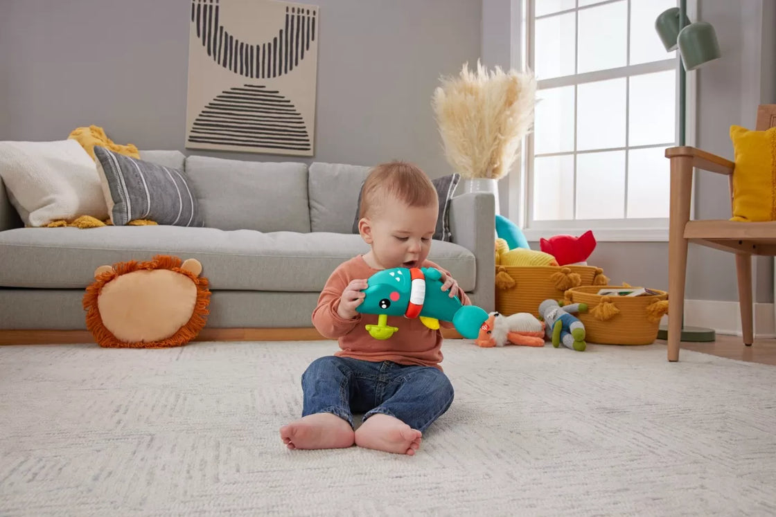 Fisher price rechinul prietenos