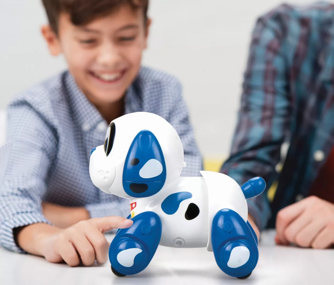 Catelus electronic robot ruffy