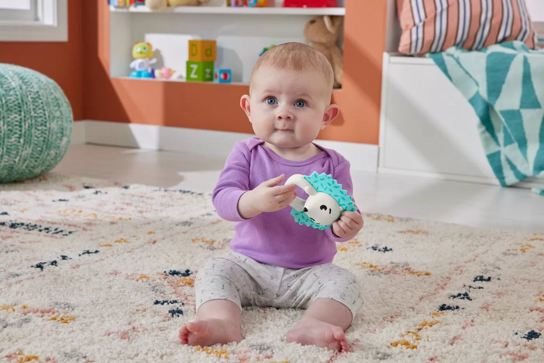 Fisher price jucarie zornaitoare arici