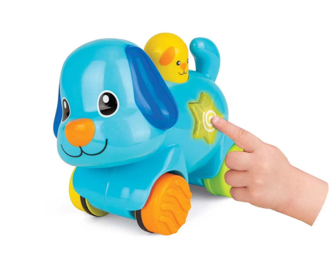 Winfun catelus interactiv