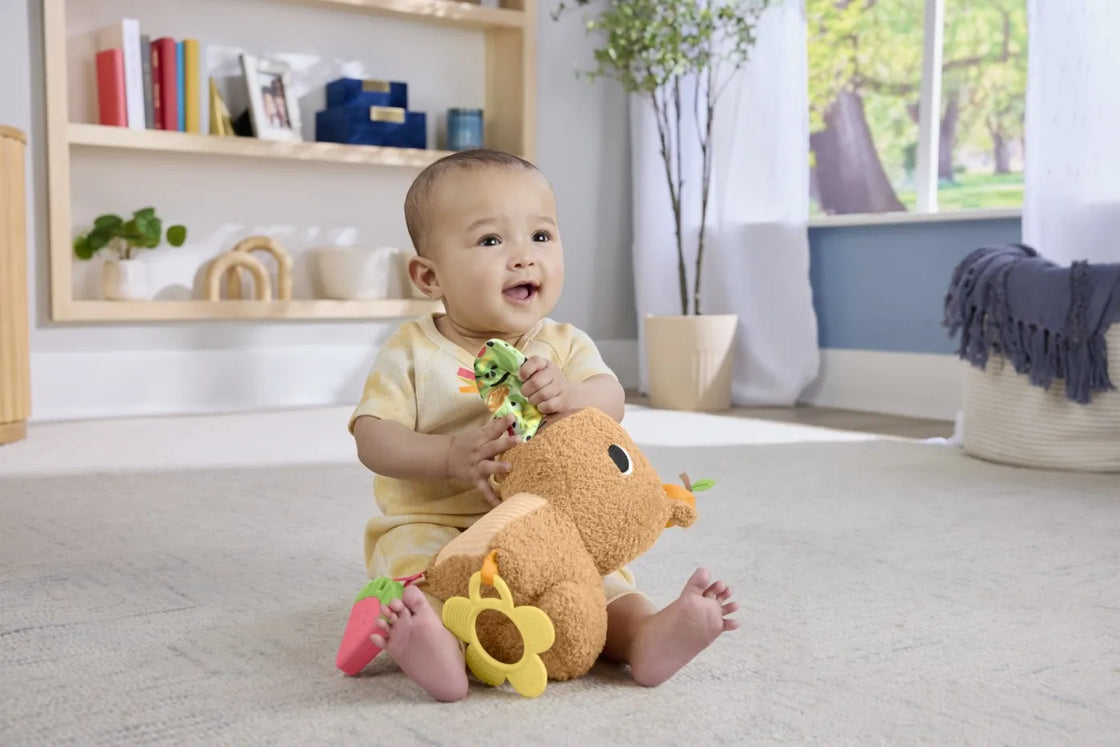 Fisher price jucarie senzoriala capibara