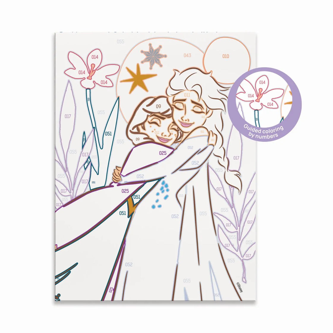 Picteaza si inrameaza disney frozen