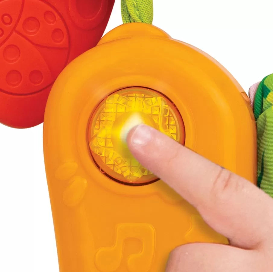 Winfun carte senzoriala