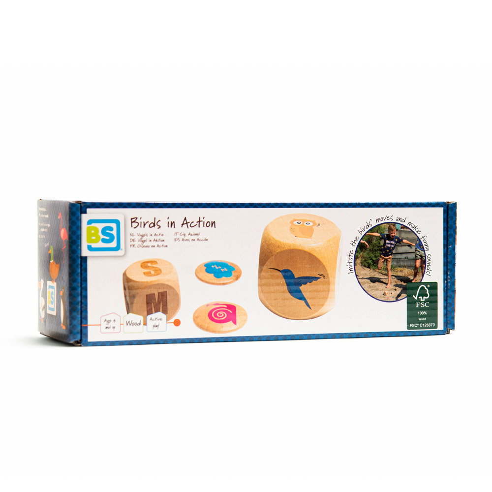 Imita pasarile, joc de motricitate