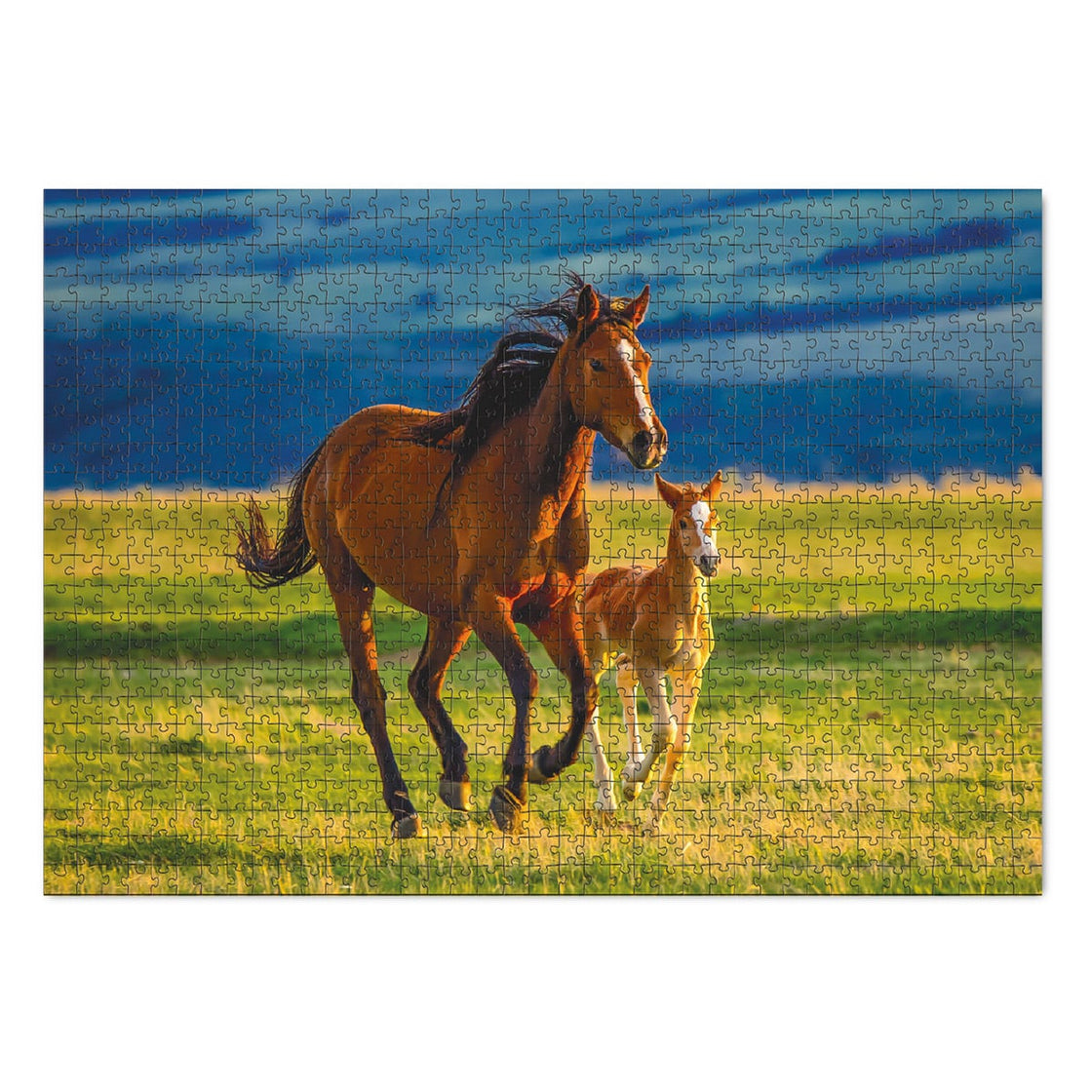 Puzzle Iapa cu manz, 1000 piese