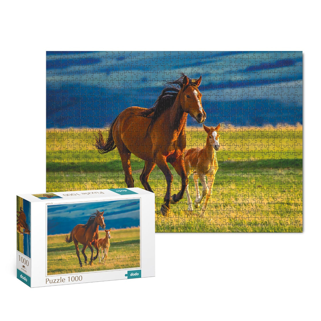 Puzzle Iapa cu manz, 1000 piese