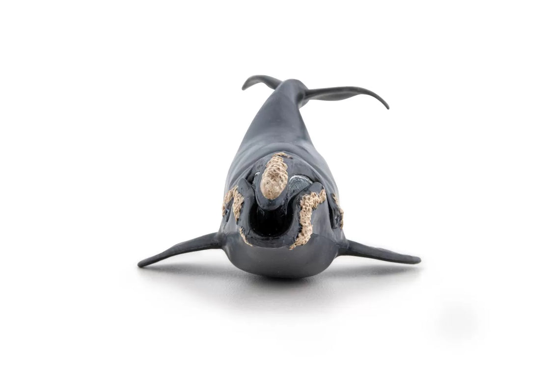 Papo figurina balena